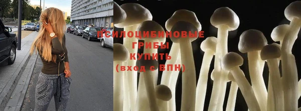 дживик Фёдоровский