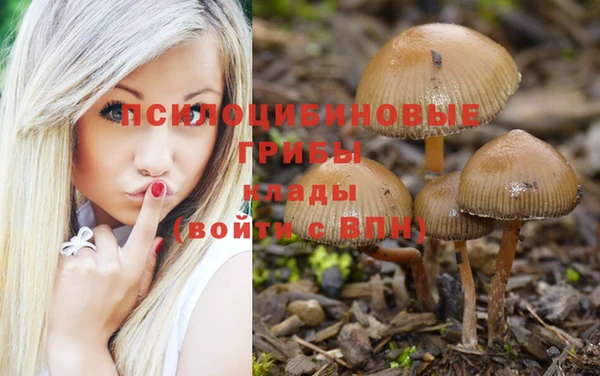 меф Калининец