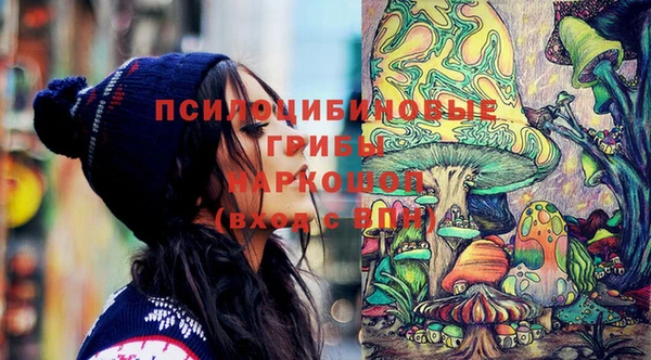 шишки Санкт-Петербург