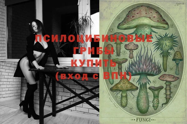 дживик Фёдоровский