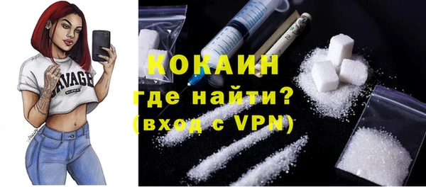 дживик Фёдоровский