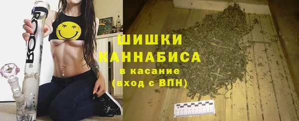 дживик Фёдоровский