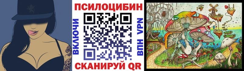 Псилоцибиновые грибы мицелий  где купить   Ахтубинск 