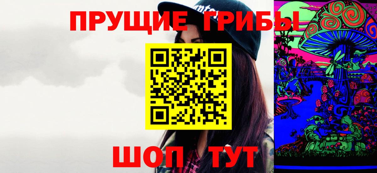 Псилоцибиновые грибы мицелий  продажа наркотиков  Ахтубинск 