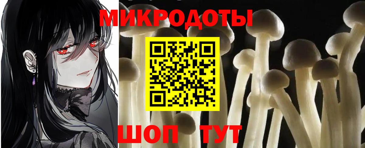 Псилоцибиновые грибы GOLDEN TEACHER Ахтубинск